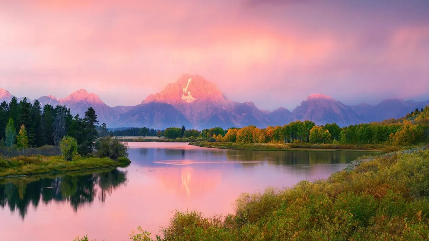 自动化独特无人化